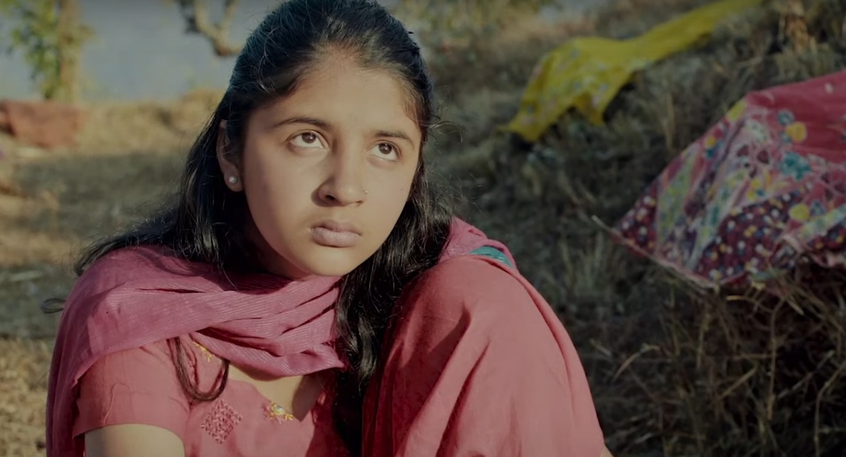 Butterfly On A Windowpane